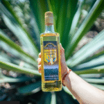 Catas, ruta del agave y música: lo que no te puedes perder del Festival del Agave en Manzanillo