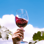 ¡Salud! Volvió el Vino Fest a Chihuahua Capital