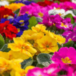 Fan de las plantas? regresa a CDMX el Plant Fest con variedad de ejemplares; es gratis