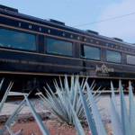 Las rutas turísticas en tren fortalecen la oferta de experiencias de México para viajeros nacionales e internacionales