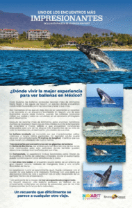 image (12)