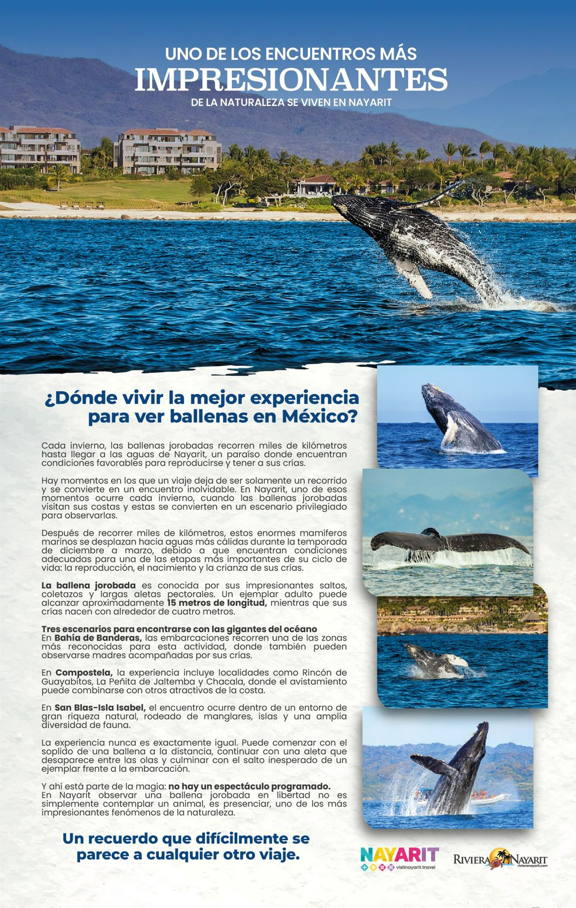 image (12)