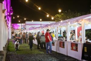 Festival Queso y Tinto 2
