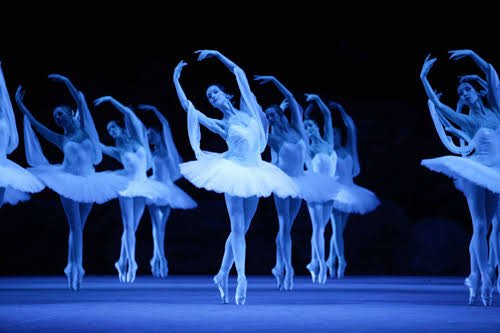images (13) - copia