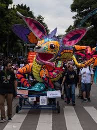 images (14)