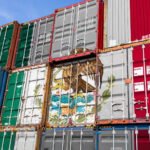 Exportaciones crecen 40.4% en agosto; CONCANACO SERVYTUR llama a convertir ese dinamismo en más proveeduría nacional